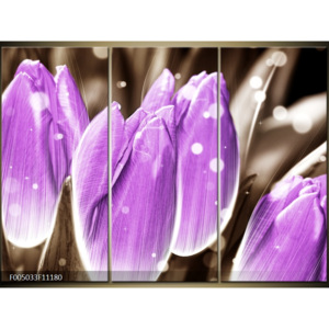 Moderní obrazy květin F005033F11180
