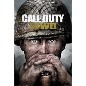 Plakát, Obraz - Call Of Duty: Stronghold - WWII Key Art, (61 x 91,5 cm)