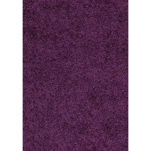 Chlupatý kusový koberec Dream Shaggy 4000 fialový Typ: 65x130 cm