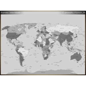 Fototapeta Praktická mapa světa 200x150cm FT2202A_2N (Různé varianty)