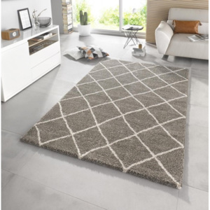 Moderní kusový koberec Eternal 102584 hnědý Typ: 80x150 cm