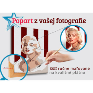 Malovaný POP Art obraz z fotografie - ČTVEREC