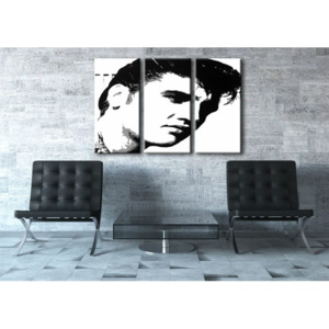 Ručně malovaný POP Art ELVIS 3 dílný 120x80cm