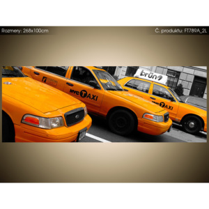 Fototapeta New York taxi - Ian Muttoo 268x100cm FT789A_2L (Různé varianty)