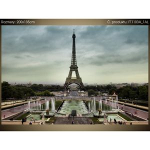 Fototapeta Eiffel Tower in Paris 200x135cm FT1103A_1AL (Různé varianty)