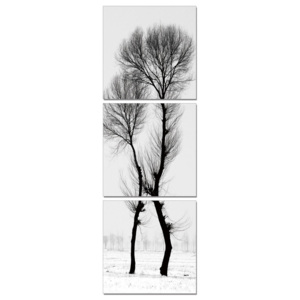Obraz na zeď - Moderní design – černobílý strom, (60 x 180 cm)