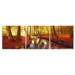 Obraz na zeď - Podzimní romance v parku, (120 x 40 cm)
