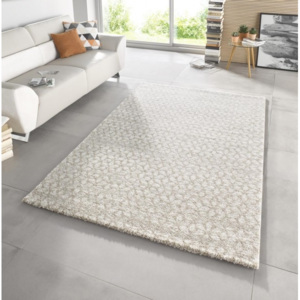 Moderní kusový koberec Stella 102604 béžový Typ: 80x150 cm
