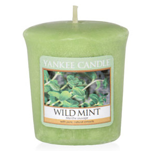 Yankee Candle – votivní svíčka Wild Mint 49 g