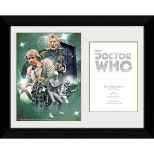 Obraz na zeď - Doctor Who - 5th Doctor Peter Davison