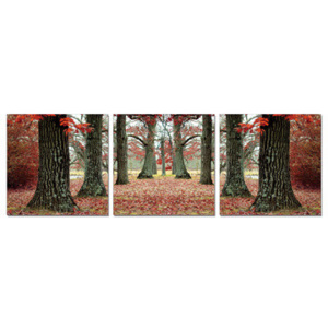 Obraz na zeď - Podzimní stromořadí, (150 x 70 cm)