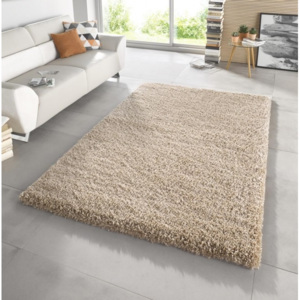 Chlupatý kusový koberec Venice 102570 hnědý Typ: 80x150 cm
