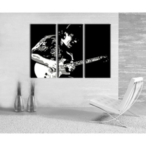 Ručně malovaný POP Art Santana 3 dílný 120x80cm