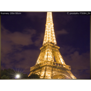 Fototapeta Osvětlená Eiffelova věž a stromy 200x150cm FT308A_2N (Různé varianty)