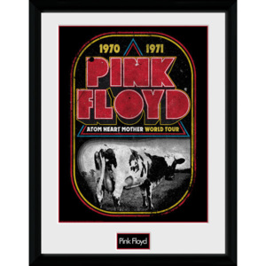 Obraz na zeď - Pink Floyd - Atom Heart World Tour