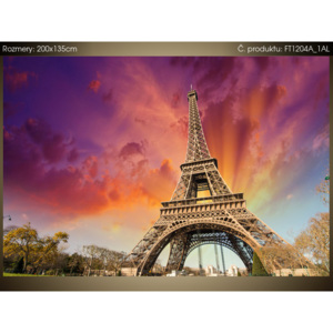 Fototapeta Eiffel Tower Paris 200x135cm FT1204A_1AL (Různé varianty)