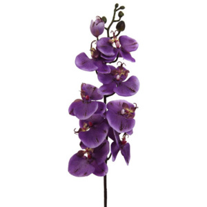 MÖMAX modern living Orchidej Gundula 98 cm