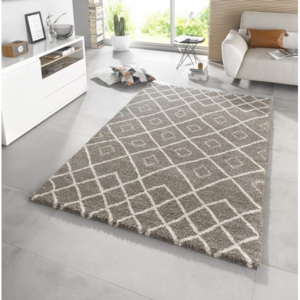 Moderní kusový koberec Eternal 102579 hnědý Typ: 80x150 cm