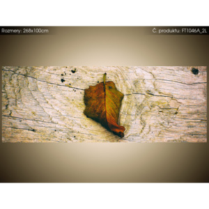 Fototapeta Podzimní list - Jenny Downing 268x100cm FT1046A_2L (Různé varianty)
