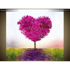 Fototapeta Růžový strom lásky 268x240cm FT2503A_6F (Různé varianty)