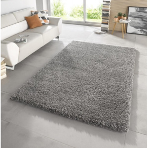 Chlupatý kusový koberec Venice 102569 šedý Typ: 80x150 cm