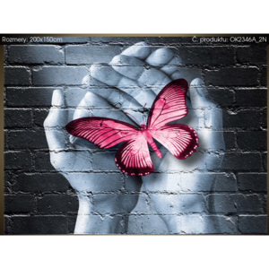 Samolepící fólie Motýlí graffiti 200x150cm OK2346A_2N (Různé varianty)