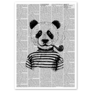 MISDA Obraz na plátně – panda noviny