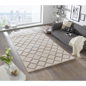 Moderní kusový koberec Eternal 102585 hnědý Typ: 80x150 cm