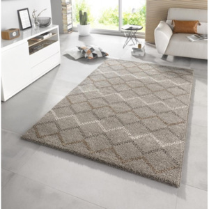 Moderní kusový koberec Eternal 102586 hnědý Typ: 80x150 cm