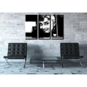Ručně malovaný POP Art Audrey Hepburn 3 dílný 120x80cm