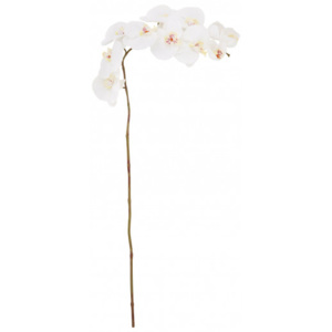 Kelly Hoppen Velká dekorační orchidej - bílá