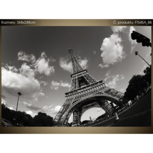 Fototapeta Paříž a Eiffelova věž 368x248cm FT545A_8B (Různé varianty)