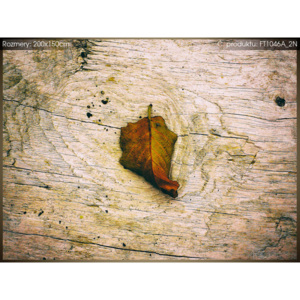 Fototapeta Podzimní list - Jenny Downing 200x150cm FT1046A_2N (Různé varianty)