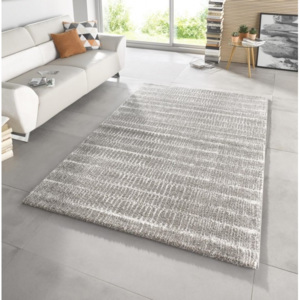 Moderní kusový koberec Stella 102605 šedý Typ: 80x150 cm