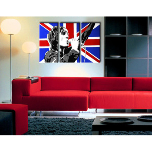 Malovaný POP Art obraz -21% Sleva Ian Brown 3 dílný "DO 24 HODIN" ib4 (skladem a ihned k odeslání)