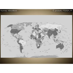 Fototapeta Praktická mapa světa 402x240cm FT2202A_9A (Různé varianty)