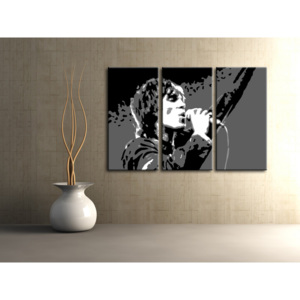 Malovaný POP Art obraz -21% Sleva Ian Brown "do 24hodin" 3 dílný 120x80cm IB2 (skladem a ihned k odeslání)