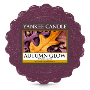Yankee Candle – vonný vosk Autumn Glow 22 g