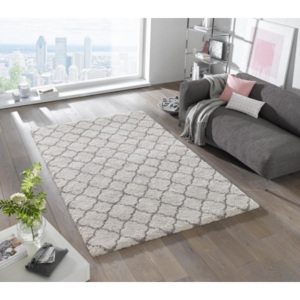 Moderní kusový koberec Grace 102601 béžový Typ: 80x150 cm