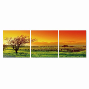 Obraz na zeď - Západ slunce nad pastvinami, (120 x 40 cm)