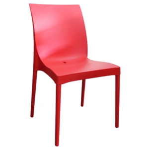 Židle Iris - výprodej