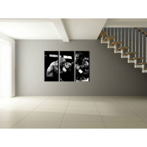 Ručně malovaný POP Art Tyson vs. Lewis 3 dílný 120x80cm