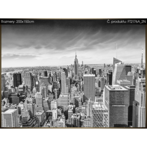 Fototapeta Obrovské mrakodrapy v New Yorku 200x150cm FT2176A_2N (Různé varianty)