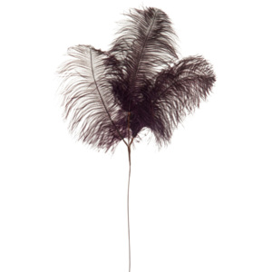 Dekorativní pštrosí peří Aubergine, výška 61 cm