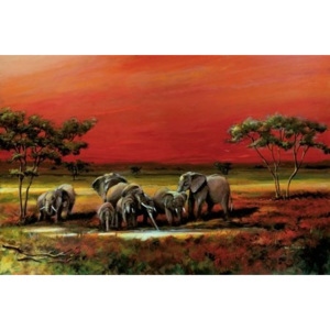 Plakát - African style elephants
