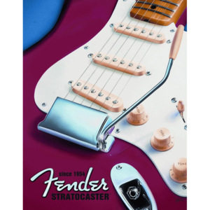 Plechová cedule: Fender (stratocaster) - 40x30 cm