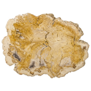 Servírovací prkénko ze zkamenělého dřeva x0312619