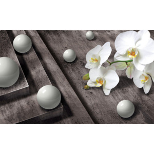 C3015P4 Fototapeta: Orchidej a bílé kuličky - 184x254 cm