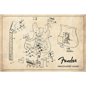 Plakát - Fender (Stratocaster)