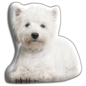 Polštářek Adorable Cushions Westík